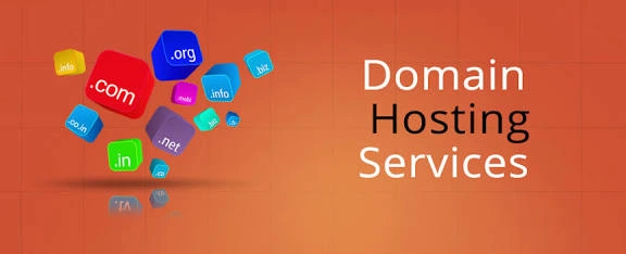 Domain & Hosting Services